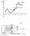 Fig. 04 - Voltammetric detection of metabolites in physiological fluids