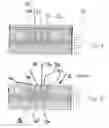 Fig. 03 - Trench insulation in substrate disks comprising logic semiconductors and power semiconductors