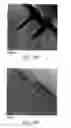 Fig. 09 - Silicided recessed silicon