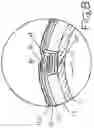 Fig. 08 - Compound hook and loop drum system for a floor sander