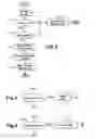 Fig. 03 - Method and device for pre-saving personal data for a subscriber to a telecommunications network