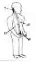 Fig. 01 - Audio headset