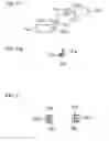 Fig. 07 - Cellular wireless unit