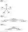 Fig. 06 - System, method, and apparatus for the electronic operation, management, sponsorship, advertising, promotion, marketing, and regulation of games of chance on a network