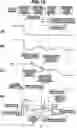 Fig. 14 - Multispeed automatic transmission