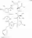 Fig. 05 - Process for the preparation of echinocandin derivatives