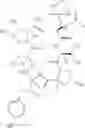 Fig. 10 - Process for the preparation of echinocandin derivatives