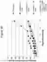Fig. 32 - Anti-CD26 antibodies and methods of use thereof
