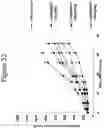Fig. 35 - Anti-CD26 antibodies and methods of use thereof
