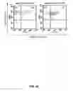 Fig. 19 - Methods for treating rheumatoid arthritis using a CTLA-4 fusion protein