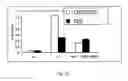 Fig. 30 - Methods for treating rheumatoid arthritis using a CTLA-4 fusion protein