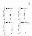 Fig. 06 - Methods of screening molecular libraries and active molecules identified thereby