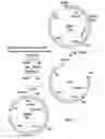 Fig. 07 - Methods of screening molecular libraries and active molecules identified thereby