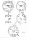 Fig. 08 - Methods of screening molecular libraries and active molecules identified thereby