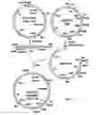Fig. 09 - Methods of screening molecular libraries and active molecules identified thereby