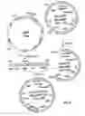 Fig. 10 - Methods of screening molecular libraries and active molecules identified thereby
