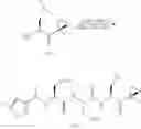 Fig. 40 - Compounds for enzyme inhibition