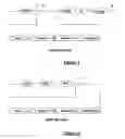 Fig. 02 - Gene expression suppression agents