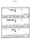 Fig. 07 - Method of Converting Base in DNA Sequence