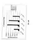 Fig. 33 - Codon-optimized polynucleotide-based vaccines against Bacillus anthracis infection