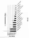 Fig. 40 - Codon-optimized polynucleotide-based vaccines against Bacillus anthracis infection