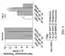Fig. 07 - Compositions and methods for inhibiting expression of Nav1.8 gene