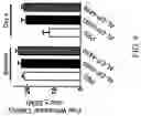 Fig. 09 - Compositions and methods for inhibiting expression of Nav1.8 gene