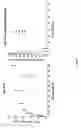 Fig. 10 - Modulators of coagulation factors with enhanced stability