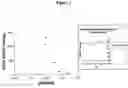 Fig. 02 - THERAPEUTICS