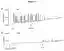 Fig. 08 - THERAPEUTICS