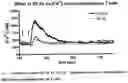 Fig. 12 - THERAPEUTICS