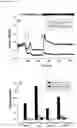 Fig. 19 - THERAPEUTICS