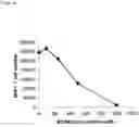 Fig. 20 - THERAPEUTICS