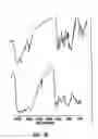 Fig. 08 - Biocompatible poly-beta-1-4-N-acetylglucosamine