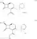 Fig. 04 - Processes for the preparations of cefepime