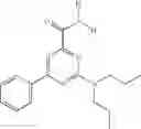 Fig. 32 - Modulators of ATP-binding cassette transporters