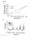 Fig. 02 - Method for treating allergies using substituted pyrazoles