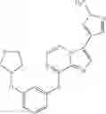 Fig. 445 - Methods for inhibiting protein kinases