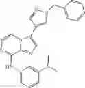 Fig. 970 - Methods for inhibiting protein kinases