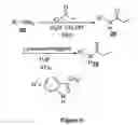 Fig. 07 - IDO inhibitors and methods of use thereof