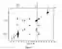 Fig. 04 - Methods for preparing nonpeptidic oligomers from amino acids