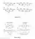 Fig. 25 - Methods for preparing nonpeptidic oligomers from amino acids