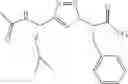 Fig. 28 - Methods for preparing nonpeptidic oligomers from amino acids
