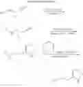 Fig. 08 - Vigabatrin bioisoteres and related methods of use