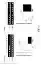 Fig. 02 - Methods for achieving a protective ACE2 expression level to treat kidney disease and hypertension