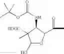 Fig. 24 - Taxane metabolites