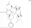 Fig. 25 - Taxane metabolites