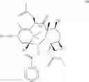 Fig. 26 - Taxane metabolites