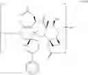 Fig. 27 - Taxane metabolites