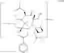 Fig. 28 - Taxane metabolites